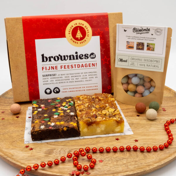 Kerst Bloei Box (Groot) Brownies.nl